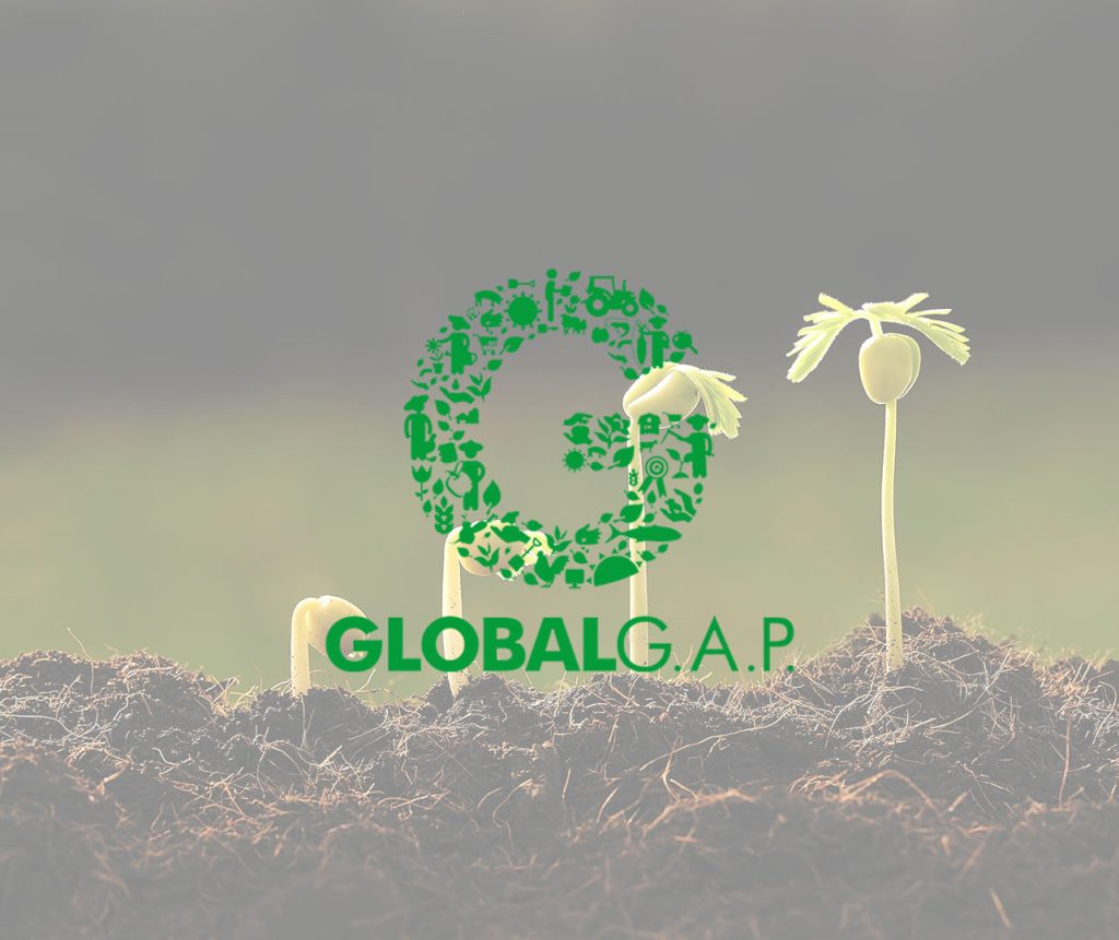 GLOBALG.A.P Sertifikatı